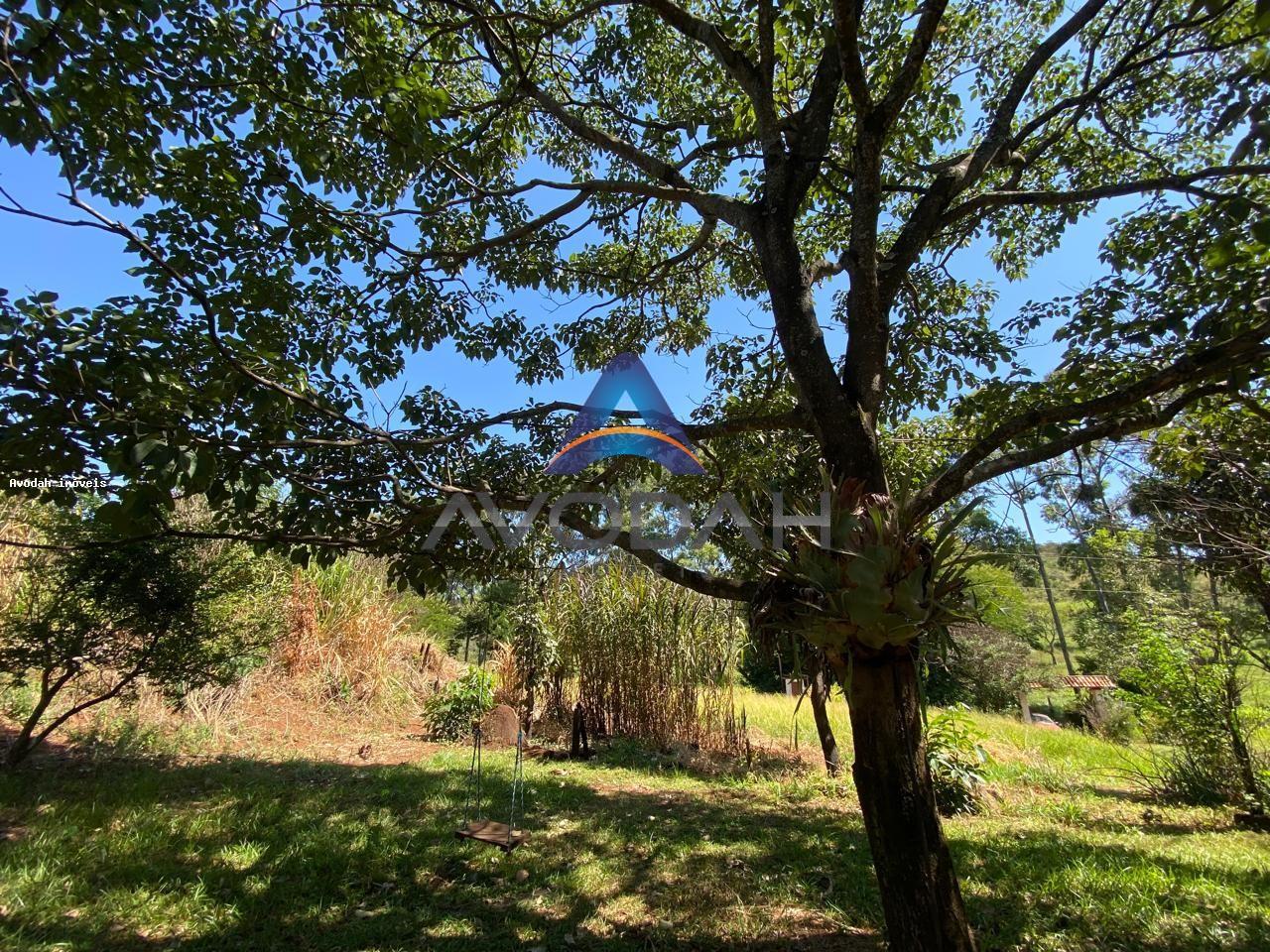 Chácara para alugar com 3 quartos - Foto 49
